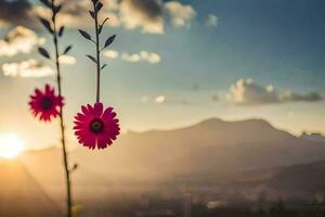 zwei Rosa Blumen sind im Vorderseite von ein Berg. KI-generiert foto