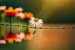 ein Blume ist Sitzung auf ein mit Widerhaken Draht Zaun. KI-generiert foto