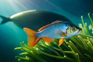 Foto Hintergrund Meer, Fisch, das Ozean, das Meer, das Meer, das Meer, Die. KI-generiert