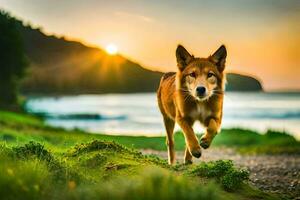 ein Hund Laufen auf das Strand beim Sonnenuntergang. KI-generiert foto