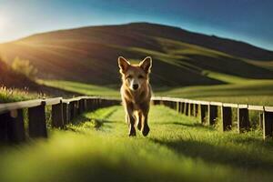 ein Hund Gehen auf ein hölzern Brücke im das Mitte von ein Feld. KI-generiert foto