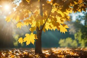 Herbst Blätter auf das Boden im Vorderseite von ein Baum. KI-generiert foto