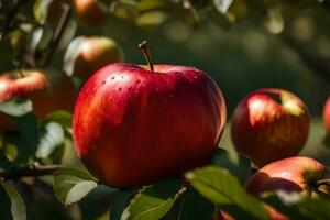 Äpfel auf ein Baum. KI-generiert foto