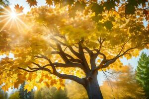 ein Baum mit Gelb Blätter im das Sonne. KI-generiert foto