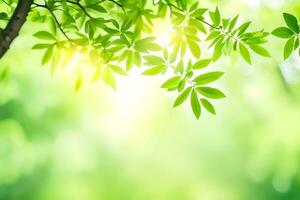 Grün Blätter auf ein Baum im das Sonnenlicht. KI-generiert foto