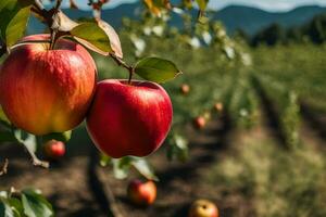 Äpfel auf ein Baum im ein Obstgarten. KI-generiert foto
