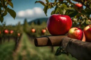 Äpfel sind Sitzung auf ein hölzern Zaun im ein Apfel Obstgarten. KI-generiert foto