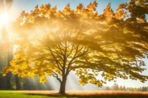 ein Baum im das Sonne mit Strahlen leuchtenden durch Es. KI-generiert foto