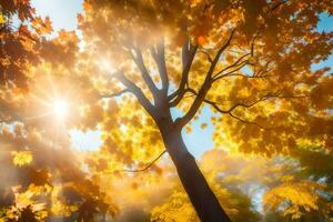 Herbst Bäume im das Sonne. KI-generiert foto