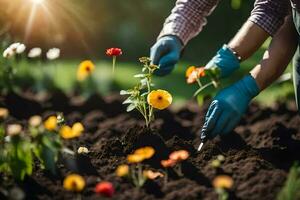 ein Mann und Frau sind Pflanzen Blumen im das Garten. KI-generiert foto