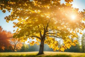 Herbst Baum im das Park mit Sonne leuchtenden durch. KI-generiert foto