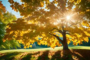 Herbst Baum mit Sonne leuchtenden durch Blätter. KI-generiert foto