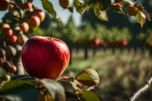 ein Apfel ist auf das Ast von ein Baum. KI-generiert foto