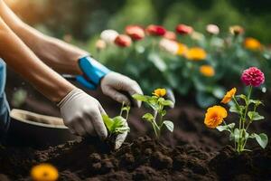 ein Person ist Pflanzen Blumen im das Garten. KI-generiert foto