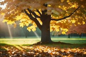 ein Baum mit Blätter im das Sonne. KI-generiert foto