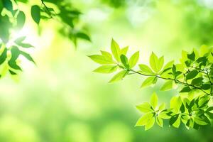 Grün Blätter auf ein sonnig Tag. KI-generiert foto