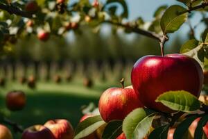 Äpfel auf ein Baum im ein Feld. KI-generiert foto