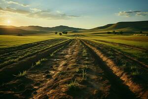 schön Aussicht von ein Tee Feld Plantage, Weinberg Bauernhof oder Erdbeere Garten im das Grün Hügel beim Sonnenaufgang Konzept durch ai generiert foto