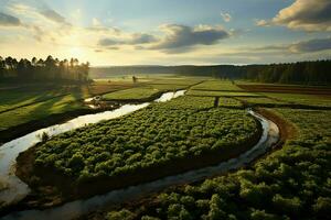 schön Aussicht von ein Tee Feld Plantage, Weinberg Bauernhof oder Erdbeere Garten im das Grün Hügel beim Sonnenaufgang Konzept durch ai generiert foto