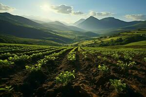 schön Aussicht von ein Tee Feld Plantage, Weinberg Bauernhof oder Erdbeere Garten im das Grün Hügel beim Sonnenaufgang Konzept durch ai generiert foto