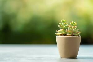 eingetopft saftig Pflanze gasteria oder klein Kaktus mit Kopieren Raum. Zuhause Gartenarbeit und minimalistisch Pflanze Konzept durch ai generiert foto