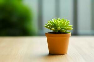 eingetopft saftig Pflanze gasteria oder klein Kaktus mit Kopieren Raum. Zuhause Gartenarbeit und minimalistisch Pflanze Konzept durch ai generiert foto