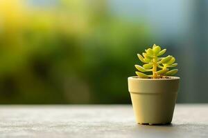 eingetopft saftig Pflanze gasteria oder klein Kaktus mit Kopieren Raum. Zuhause Gartenarbeit und minimalistisch Pflanze Konzept durch ai generiert foto