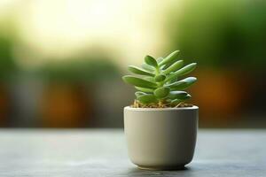 eingetopft saftig Pflanze gasteria oder klein Kaktus mit Kopieren Raum. Zuhause Gartenarbeit und minimalistisch Pflanze Konzept durch ai generiert foto