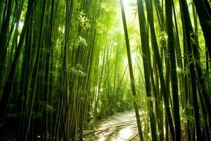 Aussicht von botanisch Grün Bambus tropisch Wald im Tageslicht. orientalisch Bambus Hain im China japanisch Konzept durch ai generiert foto