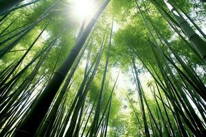 Aussicht von botanisch Grün Bambus tropisch Wald im Tageslicht. orientalisch Bambus Hain im China japanisch Konzept durch ai generiert foto