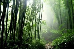 Aussicht von botanisch Grün Bambus tropisch Wald im Tageslicht. orientalisch Bambus Hain im China japanisch Konzept durch ai generiert foto