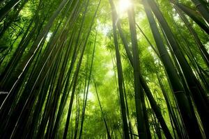 Aussicht von botanisch Grün Bambus tropisch Wald im Tageslicht. orientalisch Bambus Hain im China japanisch Konzept durch ai generiert foto