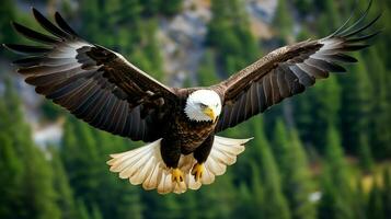 Adler frei fliegend unter das Sonnenlicht und Blau Himmel. räuberisch Vogel Jagd im Safari Osten Afrika Konzept durch ai generiert foto