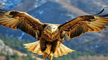 Adler frei fliegend unter das Sonnenlicht und Blau Himmel. räuberisch Vogel Jagd im Safari Osten Afrika Konzept durch ai generiert foto