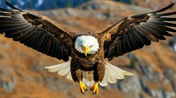 Adler frei fliegend unter das Sonnenlicht und Blau Himmel. räuberisch Vogel Jagd im Safari Osten Afrika Konzept durch ai generiert foto