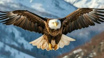 Adler frei fliegend unter das Sonnenlicht und Blau Himmel. räuberisch Vogel Jagd im Safari Osten Afrika Konzept durch ai generiert foto