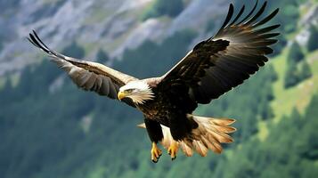 Adler frei fliegend unter das Sonnenlicht und Blau Himmel. räuberisch Vogel Jagd im Safari Osten Afrika Konzept durch ai generiert foto