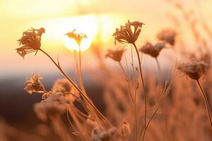 selektiv Schuss von trocken Blumen beim Sonnenuntergang, ai generativ foto