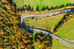 Herbst Wicklung Straße im das Wald foto