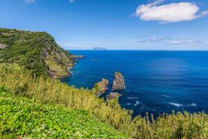 Landschaft von das Insel von Blumen. Azoren, Portugal foto