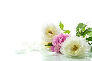 Strauß von Sommer- Weiß Rosen und Pfingstrosen foto