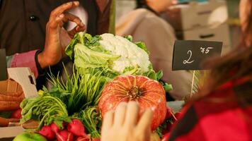 weiblich Kunde Überprüfung natürlich Gemüse zu Kaufen von Essen Marktplatz Stand, Klient reden zu Farmer beim grüner Markt. Verkäufer zeigen organisch natürlich produzieren beim lokal gerecht. Handheld Schuss. foto