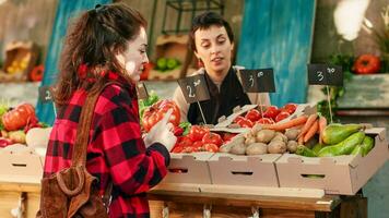 weiblich Klient Kauf bio natürlich Produkte von Verkäufer beim grüner Markt Stand, wählen organisch Öko Früchte und Gemüse zum gesund Essen. Geschäft Inhaber Verkauf Einheimisch produzieren. Handheld Schuss. foto