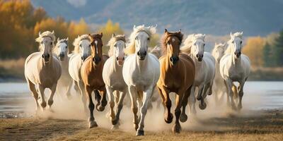 ai generiert. ai generativ. Gruppe von Pferde Laufen draussen Natur Hintergrund. wild Leben Tier Dekoration. Grafik Kunst foto