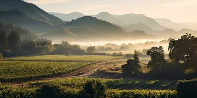 ai generiert. ai generativ. Grün frisch draussen Natur Bauernhof Landschaft Weinberg Landschaft Hintergrund. Grafik Kunst foto