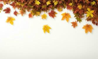 vereinbart worden Herbst Blätter im Weiß Hintergrund mit Kopieren Raum ai generiert foto