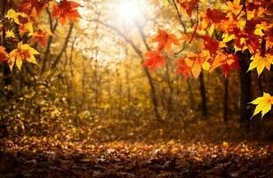 Herbst Ahorn Blätter Hintergrund mit Kopieren Raum ai generiert foto