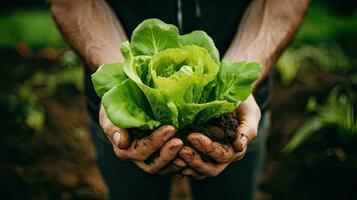 beschwingt Grün Grüner Salat gehaltenen im Hände, blühend im ein üppig Garten Bett von lose Boden. ai generiert foto