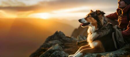 Wandern mit das Hund, ein jung Mann und seine aktiv Rand Collie Hund Sitzung auf Cliff Felsen zu nehmen ein Aussicht von Sonnenaufgang nach lange Weg Trekking im das Berg Spitzen. Aktivitäten mit Haustier. ai generativ foto