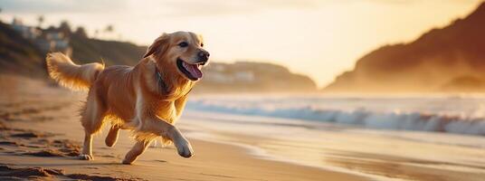 Hund Laufen auf das Strand, ein aktiv golden Retriever Hund tummeln durch das Meer. Sonnenuntergang Zeit. Sommer- Aktivitäten mit Haustier. ai generativ foto